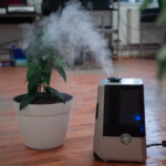 plant and air purifier at home