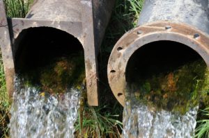 Water 
